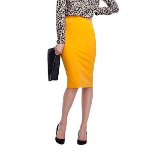 Baukjen The High Waisted Pencil Skirt
